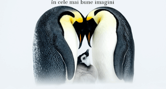 Expoziția temporară „Milvus Nature Photography Exhibition – Natura în cele mai bune imagini”