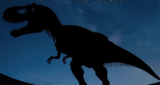 Noaptea Muzeelor 2025 la Muzeul de Paleontologie-Stratigrafie: „O noapte în compania animalelor preistorice”