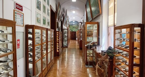Închidere temporară a Muzeului de Paleontologie și Stratigrafie