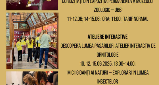 Săptămâna Patrimoniului Cultural UBB la Muzeul Zoologic