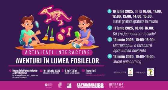 Aventuri în lumea fosilelor