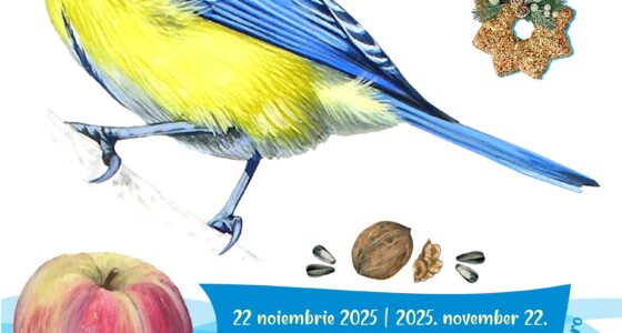 Atelierul de hrănitori 2025