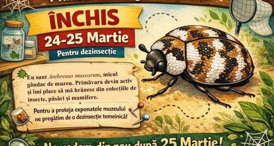 Închiderea temporară a Muzeului Zoologic