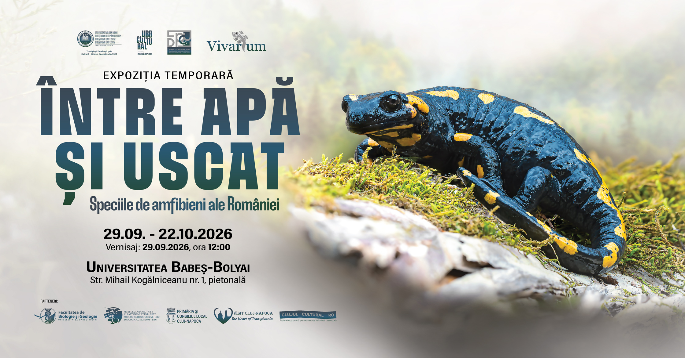 Afișul expoziției „Între apă și uscat. Speciile de amfibieni ale României”, ilustrat cu o salamandră neagră cu pete galbene într-un habitat natural.