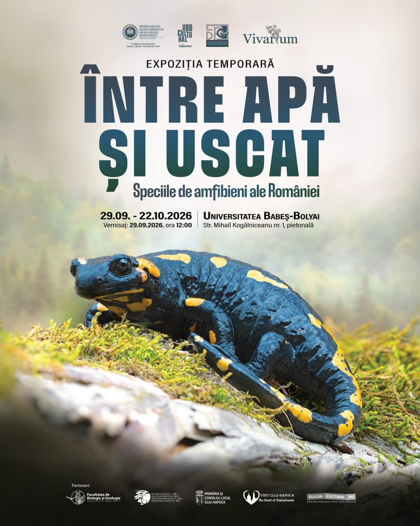 Afișul expoziției „Între apă și uscat. Speciile de amfibieni ale României”, ilustrat cu o salamandră neagră cu pete galbene într-un habitat natural.